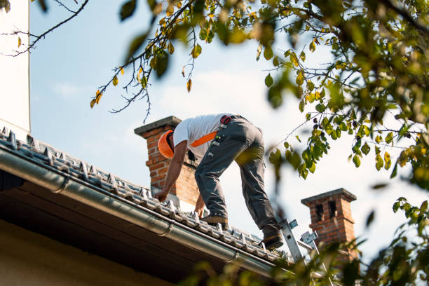 Best New Roof Installation  in Bushyhead, OK
