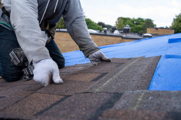 Best Roofing Contractor Near Me  in Bushyhead, OK