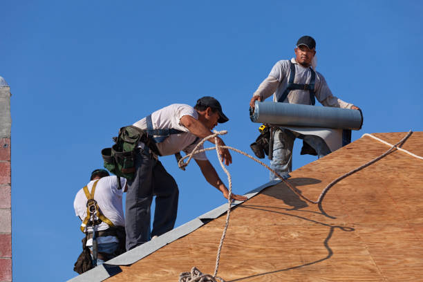Best Commercial Roofing Services  in Bushyhead, OK