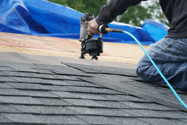 Best Roof Gutter Cleaning  in Bushyhead, OK
