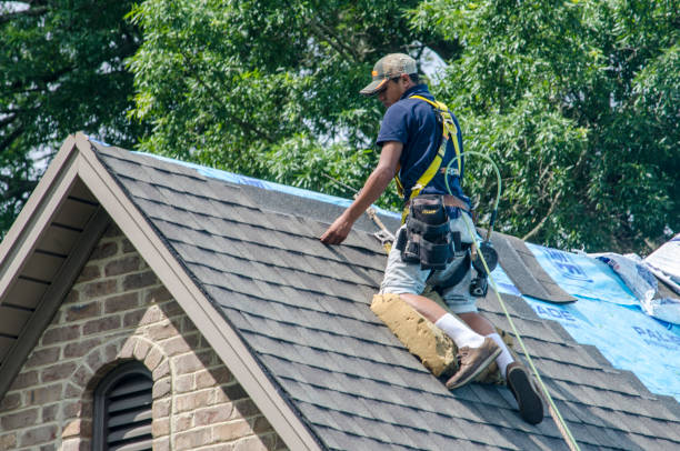 Best New Roof Installation  in Bushyhead, OK